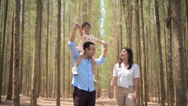 快乐的家庭周末一起在公园里活动 母亲和孩子在公园里野餐 父母带着女儿和儿子在大自然中旅行 家庭生活健康 — 图库视频影像