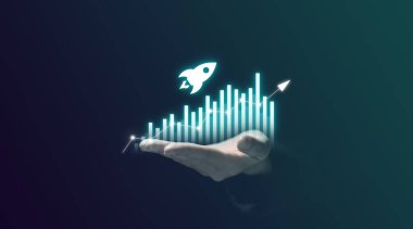 Veri bilimci trendleri ve kalıpları belirlemek için analiz etti. Mali analist, raporun analizinde çok sayıda sorun ortaya çıkardı. analizin çoğul formu