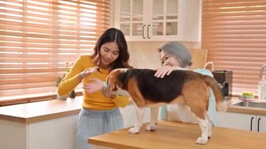 Anne ve kız evdeki oturma odasında sevimli köpekle oynuyorlar, aile hafta sonunu birlikte geçiriyorlar ve tatlı evcil hayvan, evcil hayvan ve köpek severler konseptiyle rahatlıyorlar.