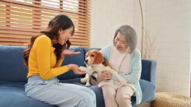 Anne ve kız evdeki oturma odasında sevimli köpekle oynuyorlar, aile hafta sonunu birlikte geçiriyorlar ve tatlı evcil hayvan, evcil hayvan ve köpek severler konseptiyle rahatlıyorlar.