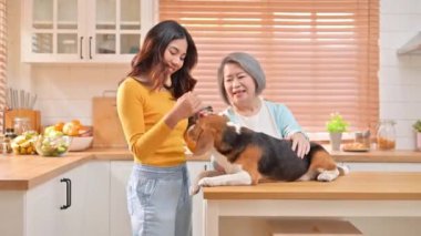 Anne ve kız evdeki oturma odasında sevimli köpekle oynuyorlar, aile hafta sonunu birlikte geçiriyorlar ve tatlı evcil hayvan, evcil hayvan ve köpek severler konseptiyle rahatlıyorlar.