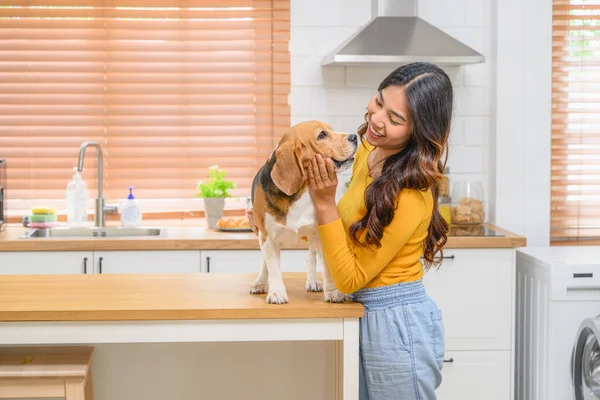 Eine Frau Wird Freundschaftlichen Umgang Mit Ihrem Hund Einem Verspielten — Stockfoto
