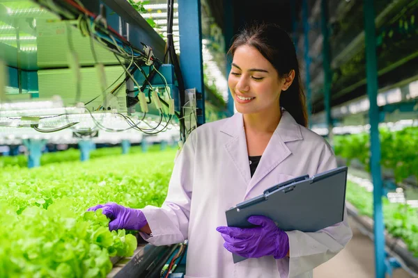 Biológus Ellenőrzi Hidroponikus Növénytermesztés Minőségét Nyilvántartását Üvegházakban Intelligens Farm Technológiával — Stock Fotó