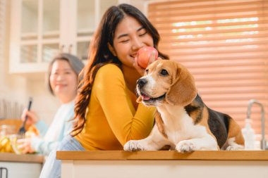 Bir kadın, evinde köpeğiyle, neşeli bir av köpeğiyle dostça bir etkileşim içinde gösterilir. Birlikte oturuyorlar, hafta sonu aktivitelerinin tadını çıkarıyorlar.