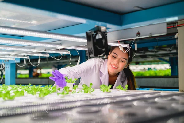 Biológus Ellenőrzi Hidroponikus Növénytermesztés Minőségét Nyilvántartását Üvegházakban Intelligens Farm Technológiával — Stock Fotó