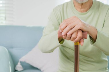 Senior portrait, Senior holding walking stick, Happy senior portrait indoor looking camera