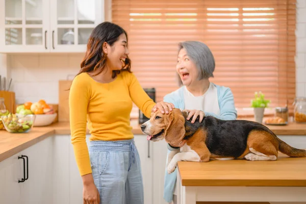 Glückliche Familie Großmutter Und Tochter Spielen Mit Hund Glückliche Haustiere — Stockfoto