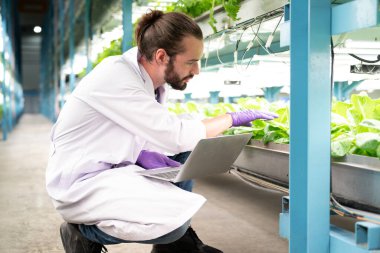 Hidroponik serada çalışan zeki araştırmacıların portresi, teknolojili akıllı çiftlikler, kapalı tarım fabrikası olan insanlar, sera tarımında sebzeleri kontrol eden ve onlarla çalışan araştırmacılar.