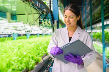 Biyolog serada hidrofonik sebze yetiştirme kalitesini ve kayıtlarını kontrol ediyor, akıllı çiftlikte teknoloji, kapalı tarım fabrikası olan insanlar, seradaki sebzeleri kontrol eden araştırmacılar,