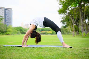 Sağlıklı genç bir kadın, yeşil parkta yoga yaparken ve dinlenirken, yoga yaparken, dışarıda mutlulukla, sağlıklı bir kadın, sabahları, açık havada yoga yaparken,