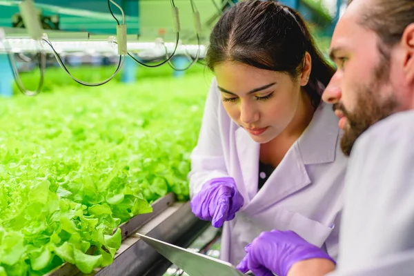 Fiatal Szakértő Tudósok Csapat Dolgozik Kutatja Víz Biogazdaság Emberek Beltéri — Stock Fotó