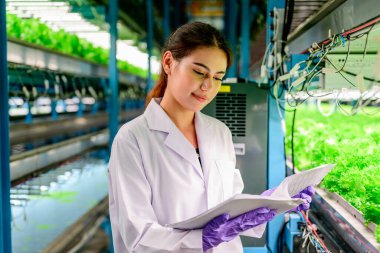 Biyolog serada hidrofonik sebze yetiştirme kalitesini ve kayıtlarını kontrol ediyor, akıllı çiftlikte teknoloji, kapalı tarım fabrikası olan insanlar, seradaki sebzeleri kontrol eden araştırmacılar,