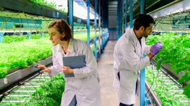Kapalı tarım fabrikasındaki mutlu bilim adamları sera tarımında sebze çeşitleri geliştiren araştırmacılar teknolojili akıllı çiftlikler.
