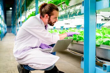 Hidroponik serada çalışan zeki araştırmacıların portresi, teknolojili akıllı çiftlikler, kapalı tarım fabrikası olan insanlar, sera tarımında sebzeleri kontrol eden ve onlarla çalışan araştırmacılar.