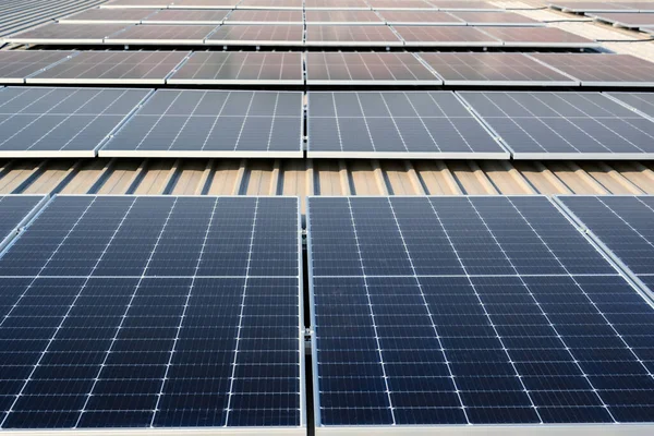 Blå Solceller Paneler Taket Solcellsgården Ren Ekologisk Med Solnedgång Förnybar Stockbild