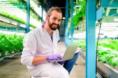 Hidroponik serada çalışan zeki araştırmacıların portresi, teknolojili akıllı çiftlikler, kapalı tarım fabrikası olan insanlar, sera tarımında sebzeleri kontrol eden ve onlarla çalışan araştırmacılar.