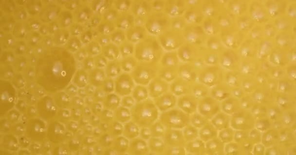 橙味维生素药物 溶于水 — 图库视频影像