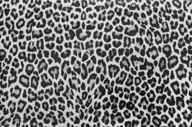 Leopard texture fabric sample. African style, leopard print, seamless. Cheetah or jaguar fabric texture. Animal effect skin textile design. Abstract cloth print. Black and white background sample.
