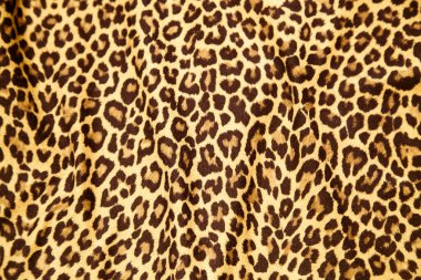 Leopar arkaplan dokusu safari desenli leopar desenli kumaş kumaş tasarımı.
