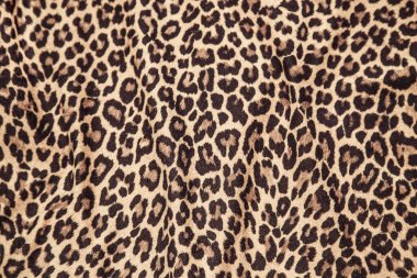 Leopar arkaplan dokusu safari desenli leopar desenli kumaş kumaş tasarımı.