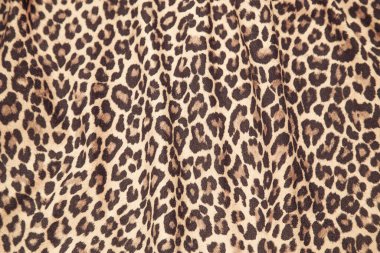 Leopar arkaplan dokusu safari desenli leopar desenli kumaş kumaş tasarımı.