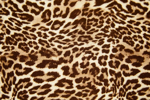 표범의 텍스처 사파리 프린트 디자인 — 스톡 사진