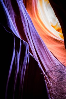 Kuzey Arizona 'daki Navajo Rezervasyon Sayfası' nda Antilop Kanyonu. Meşhur slot kanyonu. Kaya oluşumu, ışık oyunu. Arizona çöllerindeki alışılmadık renkli kumtaşı oluşumları yürüyüşçüler için popüler noktalardır. Çoğu fotoğraflı yuva kanyonları.