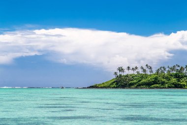 Tropik körfez, Cook Adaları 'ndaki cennet istikameti. Rarotonga 'da tropik bir göl, mercanlarla dolu bir sahil. Güneşli bir günde kristal berrak turkuaz suyu ve palmiye ağaçları olan mavi deniz. Bulutlu gök mavisi. Parçalı bulutlu.