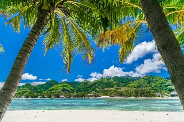 Tropik körfez, Cook Adaları 'ndaki cennet istikameti. Güneşli bir günde palmiye ağaçları olan Rarotonga sahilleri. Bulutlu mavi gökyüzü. Parçalı bulutlu.