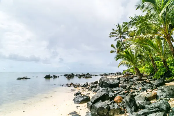 Tropik körfez, Cook Adaları 'ndaki cennet istikameti. Rarotonga adasında hindistan cevizi palmiyeli Rocky plajı. Palmiye ağaçları olan sahil. Sahilde büyük taşlar.