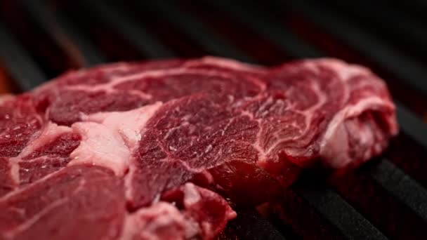 Raw Beef Steak Seasoned Cothily Salt Slow Motion Macro Dolly — 비디오