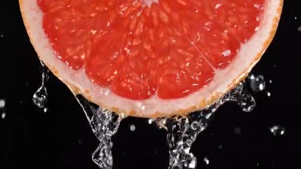グレープフルーツのスライスがピンクを背景にスローモーションで上から水によってスプラッシュ — ストック動画