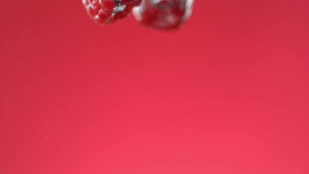 ラズベリーは水に落ち 赤い背景のスローモーションで気泡を作る — ストック動画