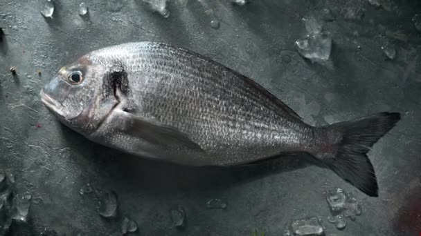 Seasoning Gilthead Bream Fish Ready Cook Vista Superior Mesa Cámara — Vídeos de Stock