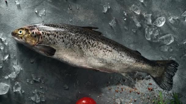 Καρυκεύματα Σολομού Ψάρια Έτοιμα Μαγειρέψουν Πίνακας Top View Αργή Κίνηση — Αρχείο Βίντεο