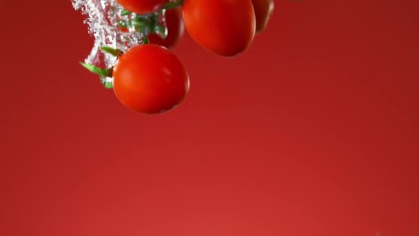 Tomates Cereja Caindo Água Fazendo Bolhas Movimento Lento Fundo Vermelho — Vídeo de Stock