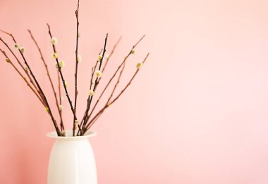 Pembe arka planda söğüt dalları. Paskalya ve bahar arkaplanını tebrik ederim. Beyaz arka planda basit bir Paskalya kompozisyonu. Uzayı kopyala Üst görünüm.