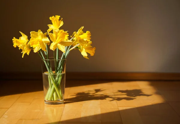 Sarı nergisleri ya da vazodaki narsisleri güneş ışığında bir odaya kapatın. Yüksek kalite fotoğraf