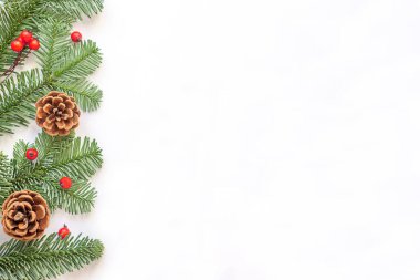 Noel kompozisyonu. Kırmızı böğürtlenli yeşil dallar ve beyaz arka planda solda kahverengi koniler. Yüksek kalite fotoğraf