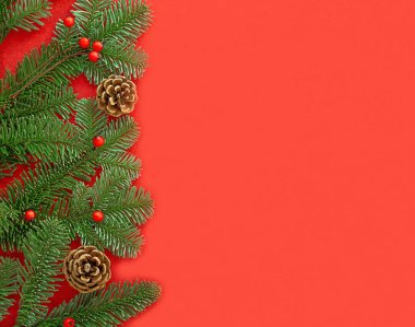 Kırmızı arka planda yeşil köknar dalları ve kırmızı böğürtlen ve kahverengi koniler. Yüksek kalite fotoğraf