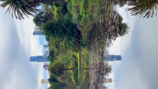 Vue Sur Melbourne City Dans Les Jardins Botaniques Royaux Nature — Video