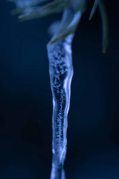 Spring Bright Background Icicles Branch Tree High Quality Photo — Stock Photo, Image