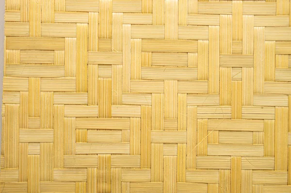 bamboo background for splash screen. High quality photo