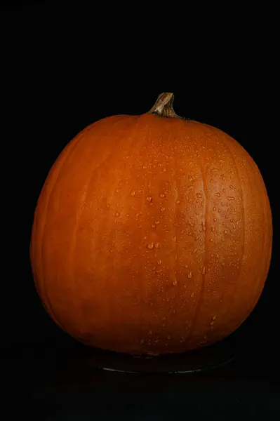 Siyah arka planda büyük yuvarlak balkabağı. Kopya alanı da var. Yüksek kalite fotoğraf