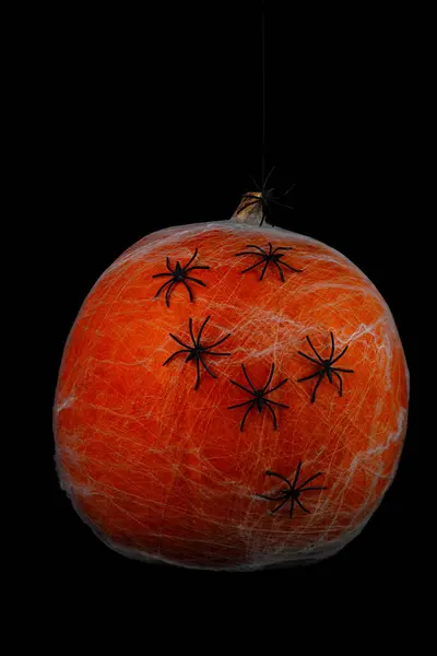 Ağlı balkabağı ve siyah arka planda örümcekler. Yüksek kalite fotoğraf