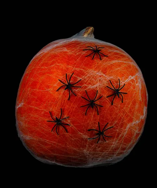 Örümcek ağlı balkabağı ve siyah arka planda örümcekler. kopyalama alanı. Yüksek kalite fotoğraf