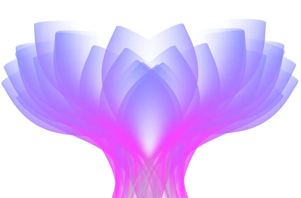 Фіолетова Рожева Фіолетова Квітка Абстрактний Гладкий Градієнт — стокове фото