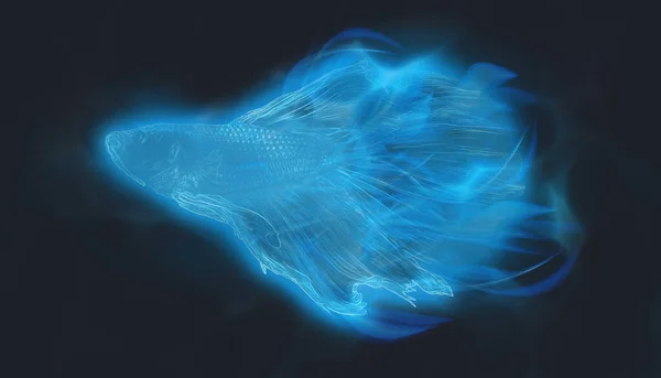 Blue fish on black background. betta fish with blue fire flame effect hologram