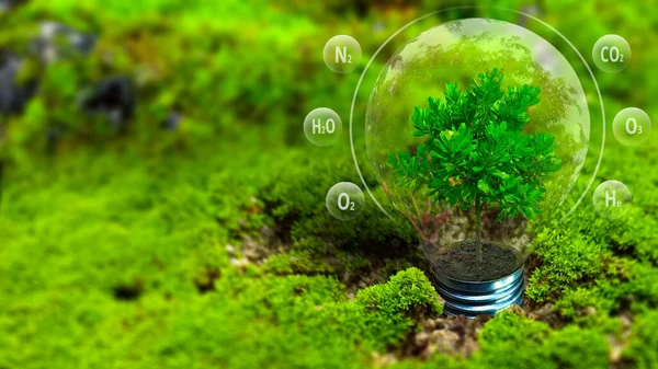 Yeşil yosun arka planında ampul olan yeşil eko enerji kavramı. 3d oluşturma