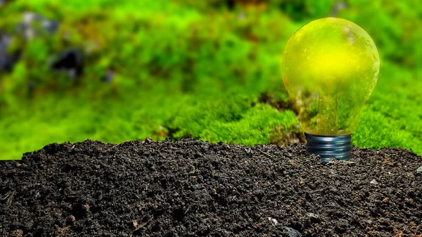 Glowing light bulb on green moss background with copy space. Eco concept. clean energy concept earth day plant light bulb with black soil with green moss background